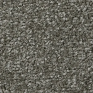 Cinder Grey