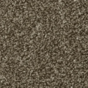 Cork Oak