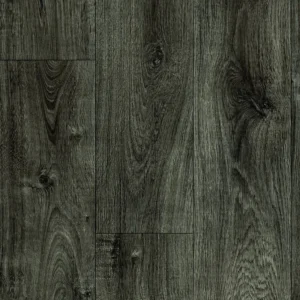 Forest Oak
