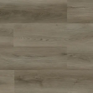 5004-friston-plank